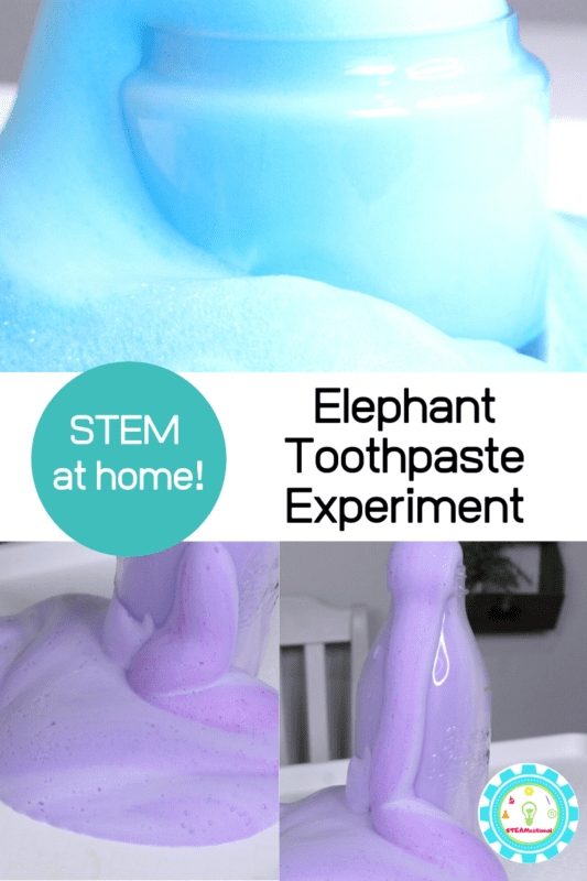 elephant toothpaste stem project
