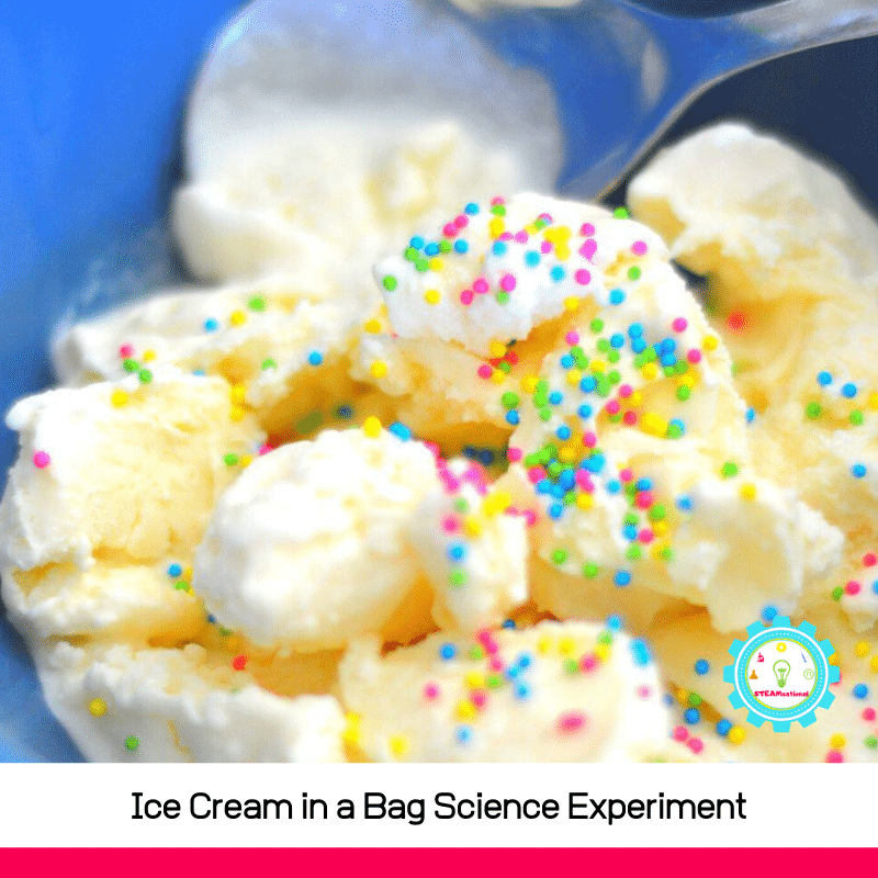 Summer and ice cream go hand in hand. But how about making ice cream in your hands? That's what the ice cream in a bag science experiment is all about!