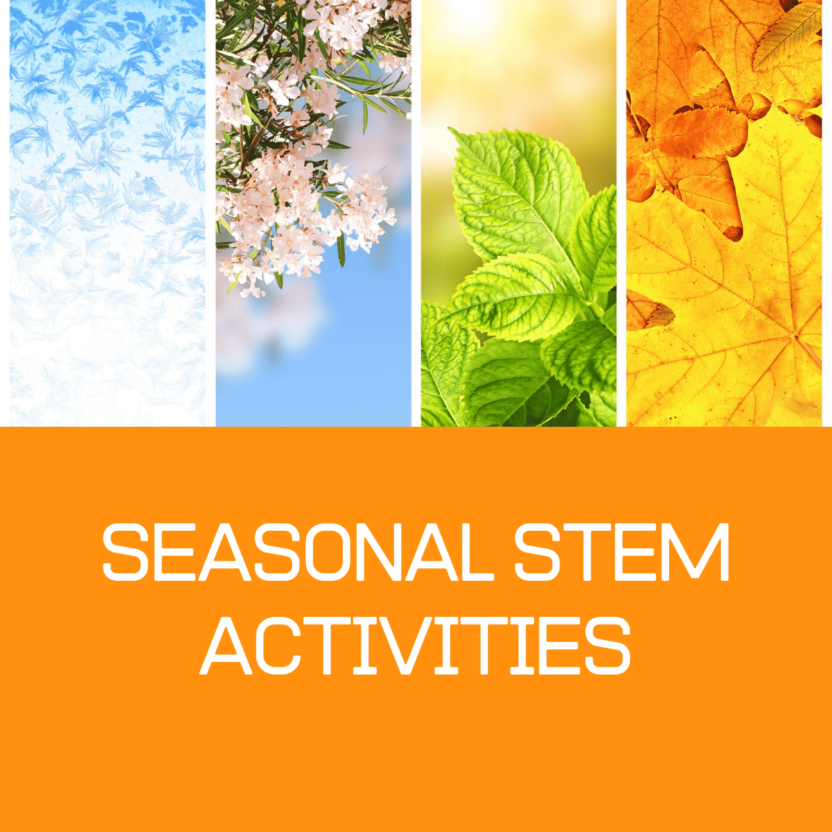 20 Brilliant STEM Activities for Fall That Elementary Kids Will Love
