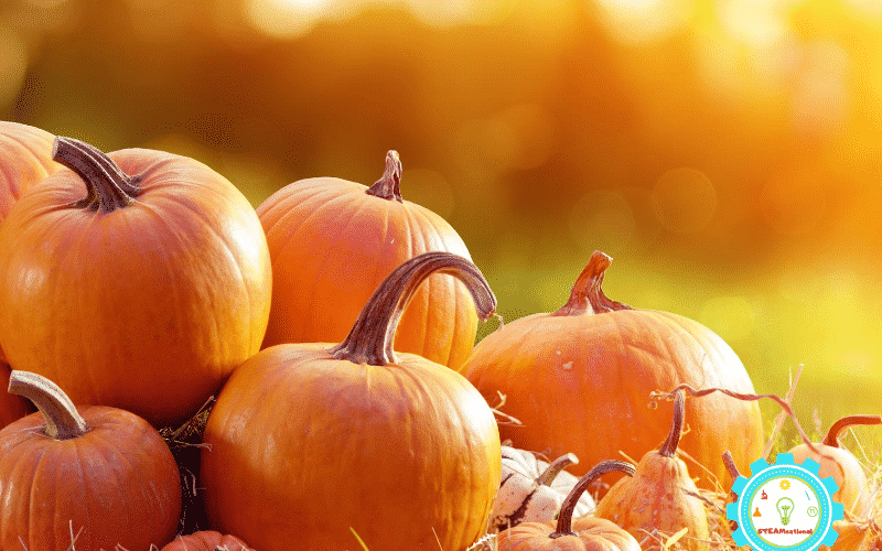 Teaching a preschool class? These books about pumpkins for preschool are the perfect books to read when studying pumpkins in the fall!