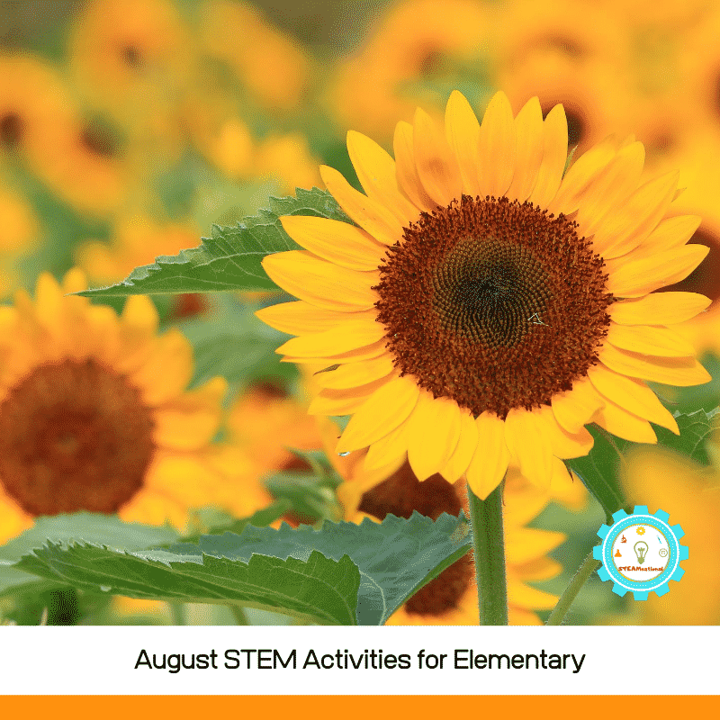 Make the transition to learning fun with these hands-on August STEM activities. These August STEM challenges are perfect for the elementary classroom!