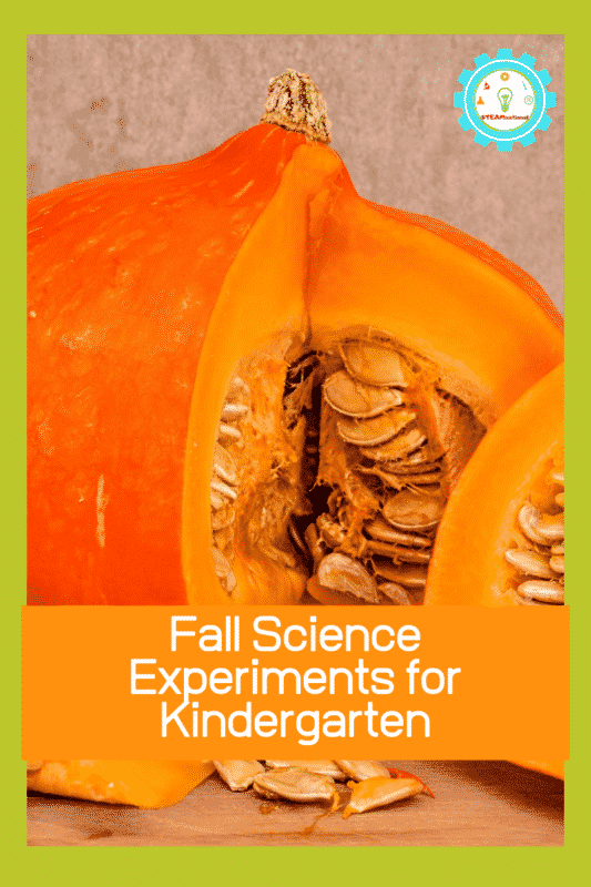 fall science for kindergarten kids