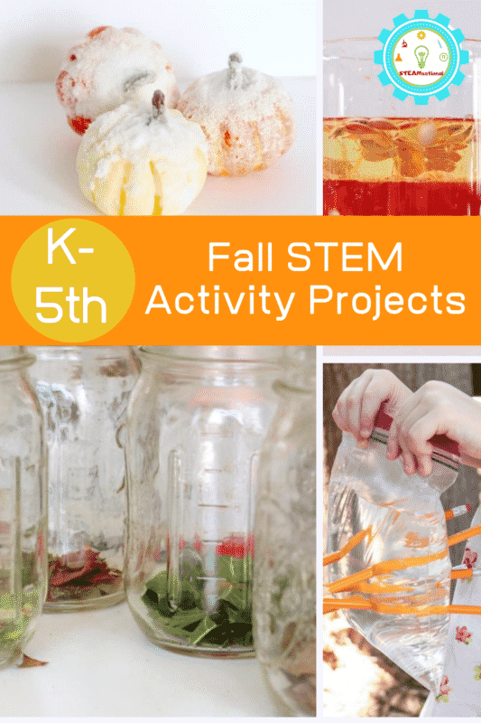 fall stem activities