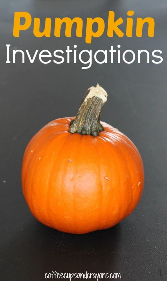Pumpkin Investigations Fun pumpkin themed science and math investigations with a FreePrintable