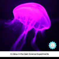 If your kids love glow in the dark science and glow in the dark STEM activities, they will love these glow in the dark science experiments.