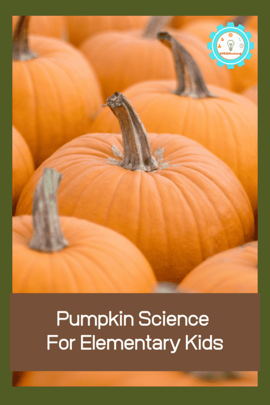 pumpkin science for kids