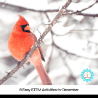 December is s a super fun time to do festive STEM activities with kids. These STEM activities for December fit the bill perfectly!