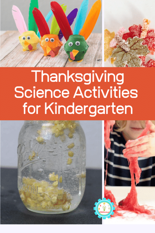 thanksgiving science activities for kindergarten