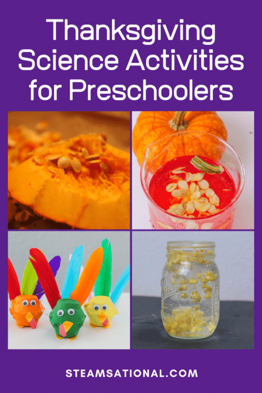 thanksgiving science activities for preschool