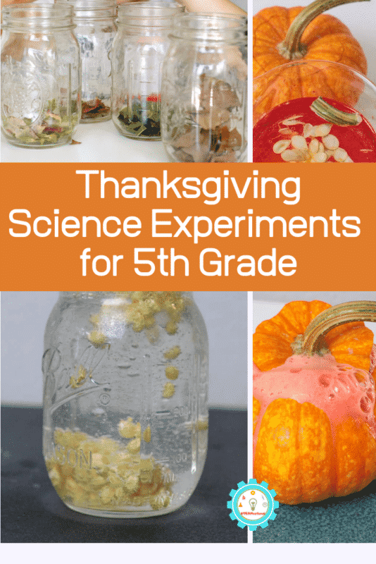 thanksgiving science experiments for 5th grade