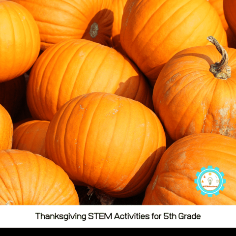 Classroom-Friendly Thanksgiving STEM Activities for 5th Grade