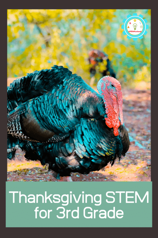 thanksgiving stem for 3rd grade
