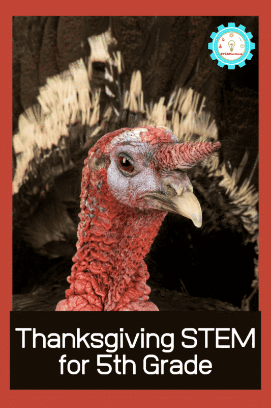 thanksgiving stem for 5th grade