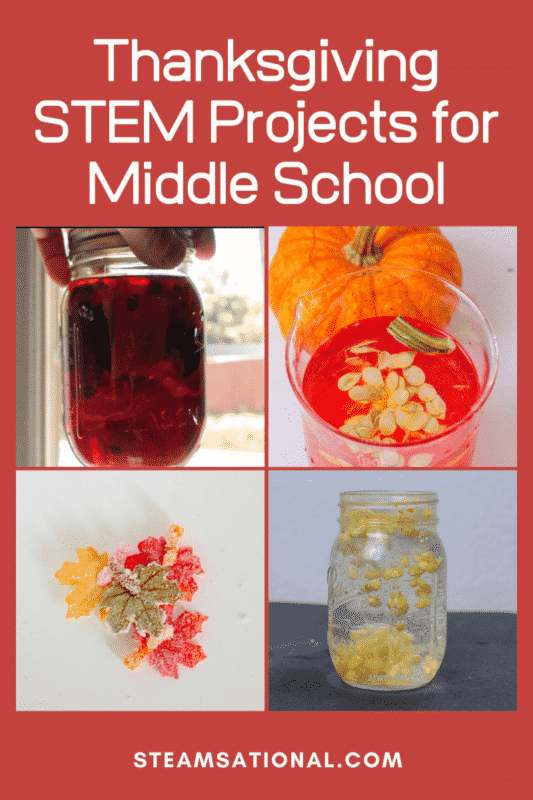 thanksgiving stem projects for middle school