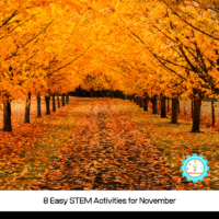 Fall science is so much fun! Try these NGSS-aligned hands-on November STEM activities with your classroom this year!