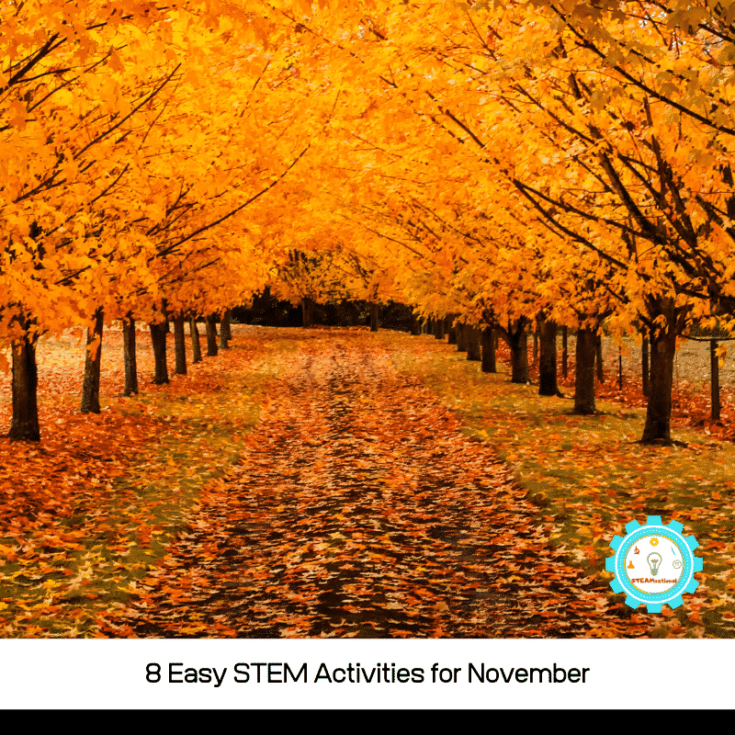 stem activities for november