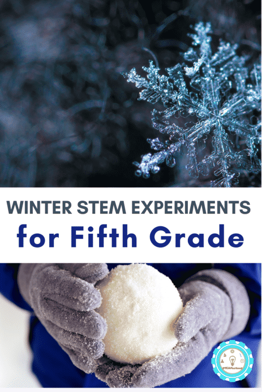 winter stem experiments for 5th grade