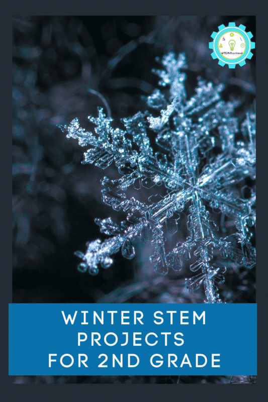 winter stem projects for 2nd grade