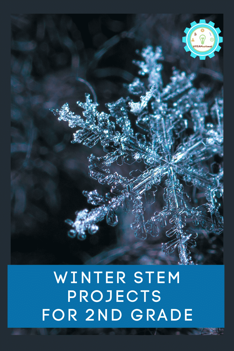 Fun and Easy Winter STEM Activities for 2nd Grade