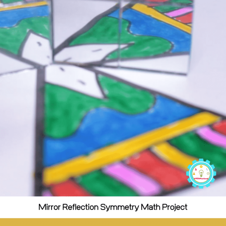 Mirror Reflection Symmetry Math Project