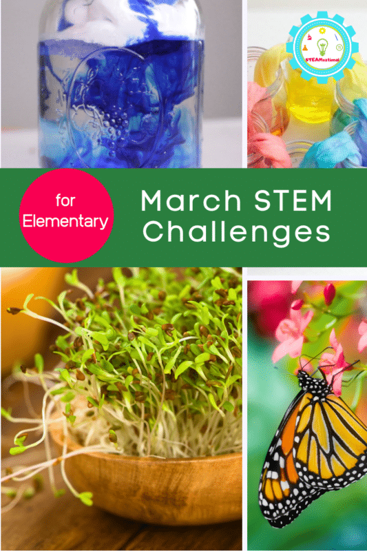 march stem challenges