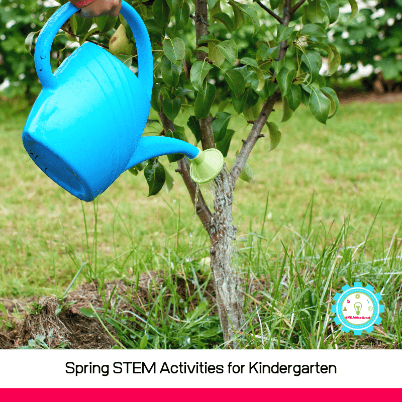 Keep reading to find our best STEM lesson plans for kindergarten and the spring STEM activities for kindergarten!