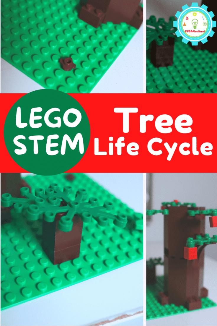 lego tree life cycle