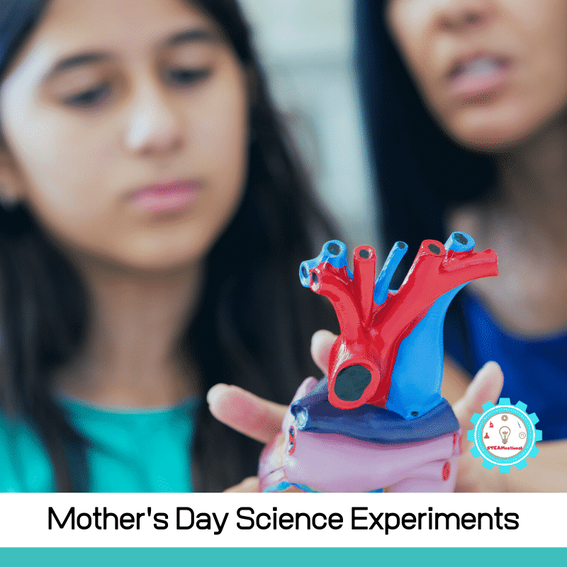 Mother's Day is when moms are celebrated, but not every mom wants brunch. Some moms would rather try Mother's Day science activities!