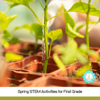 If you love spring and you love teaching science and STEM, you'll love this list of spring science projects for 1st grade!