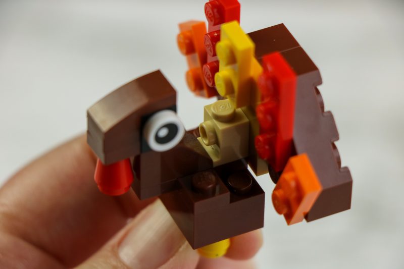 LEGO Turkey Shared Process 10