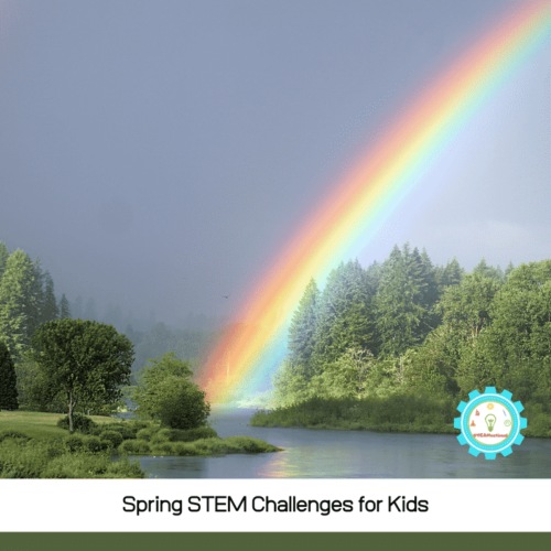 Spring STEM challenges to shake off the winter blues and celebrate the return of flowers, rainbows, and baby animals! Low-prep ideas for teachers, daycare workers, and parents!