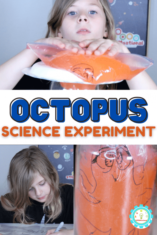 This easy octopus science experiment will answer the question do octopuses have bones? Includes a complete octopus STEM activity lesson plan!