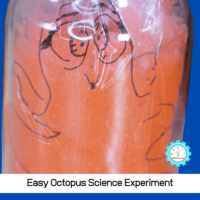 This easy octopus science experiment will show kids what would happen if an octopus had bones. Fun ocean science for kids!