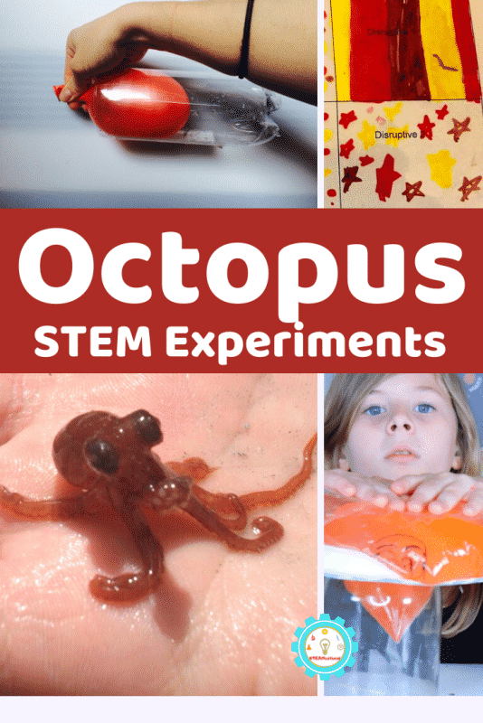 Over 11 exciting octopus STEM activities that any octopus-loving kiddo will adore! Hands on, simple activities using household supplies. 