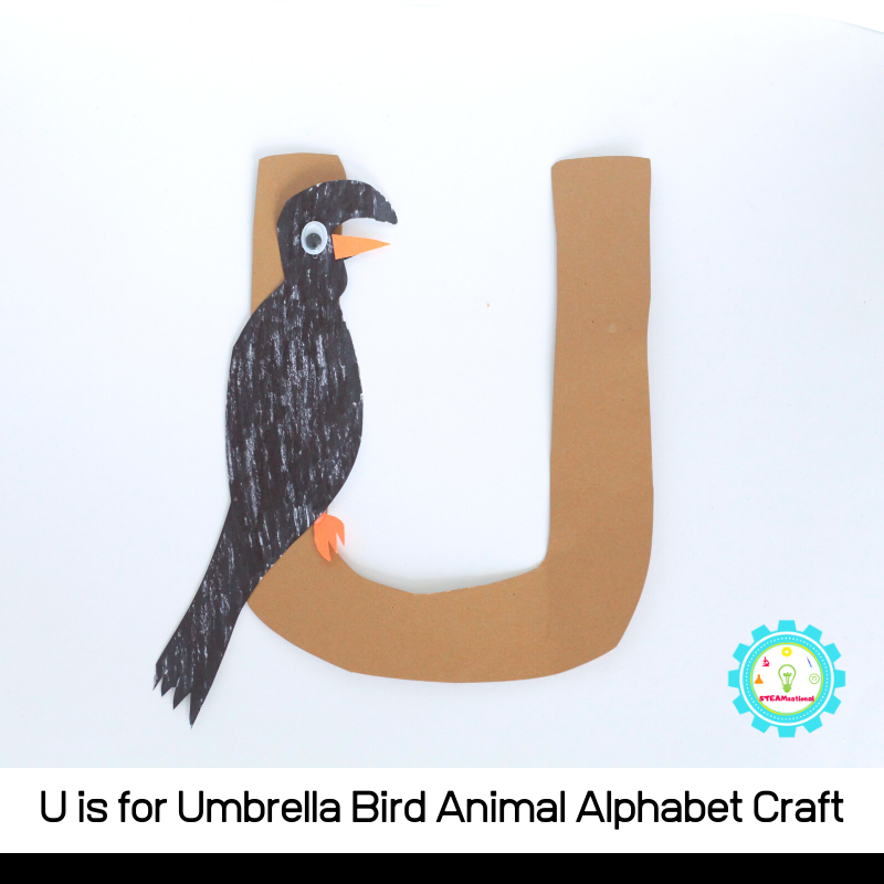 Learn how to make a fun U is for umbrella bird alphabet craft with these simple instructions! All you need are a few craft supplies and a bit of imagination!    