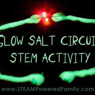Glow Salt Circuit STEM Activity 1 FEATURE