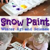 Image for Snow Paint