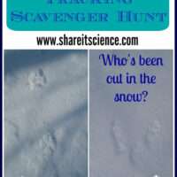 Image for Animal Tracking Scavenger Hunt