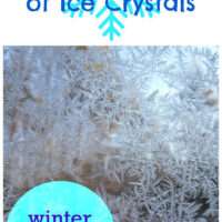 Image for Frozen Bubbles