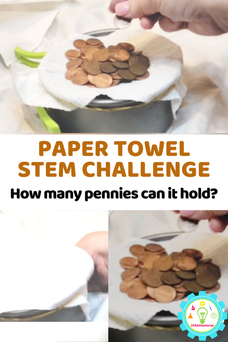 paper towel stem activity