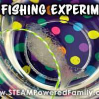 Image for Ice Fishing Science Experiment for Kids