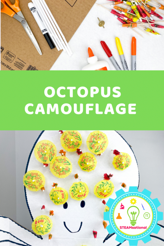 Enter the enthralling world of Octopus Camouflage! This entertaining activity is intended to teach children the amazing skills of octopuses.