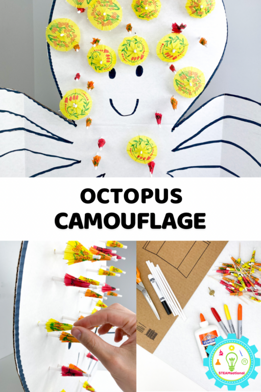 Get ready to dive into excitement with this octopus camouflage STEM activity! Students are going to embark on a thrilling journey exploring the awe-inspiring superpowers of the octopus - nature's ultimate champion in the fantastic game of hide and seek!