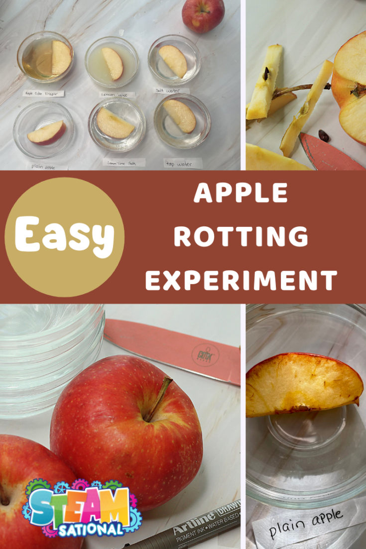 Apple Rotting Experiment Pin 1