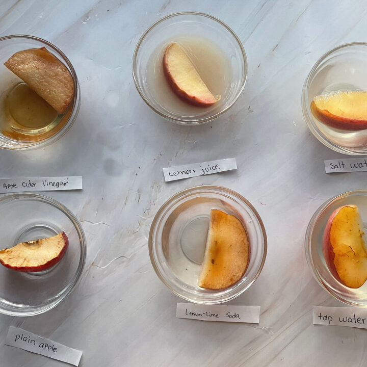 How to Do the Apple Rotting Experiment