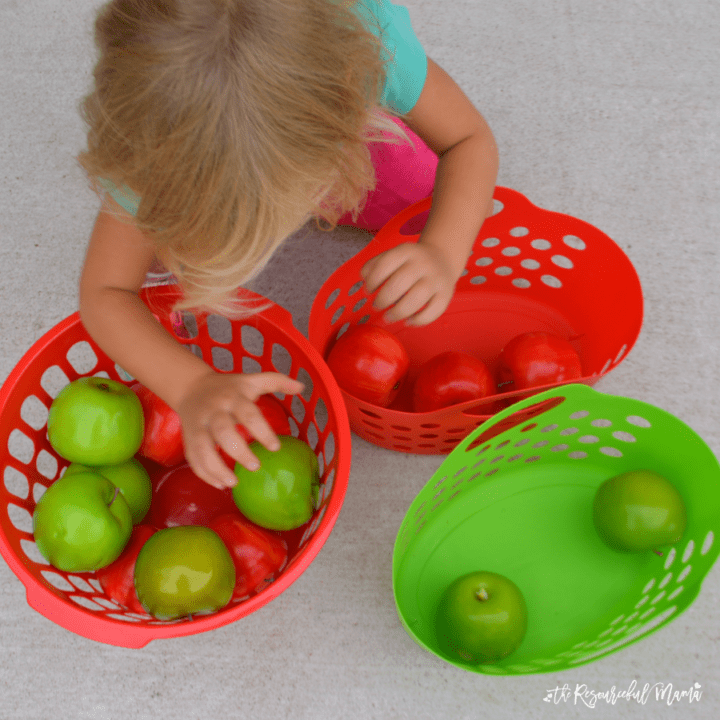 Image for Apple Sorting Game