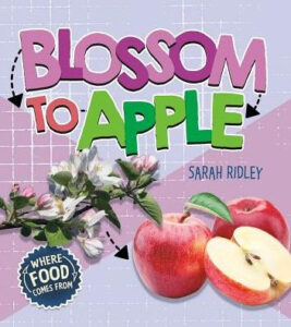 blossom to apple book