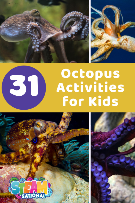 Discover fun and educational octopus activities for kids that will help your students understand the amazing octopus! With these activities, kids can learn about the eight-armed cephalopod in an engaging and interactive way.