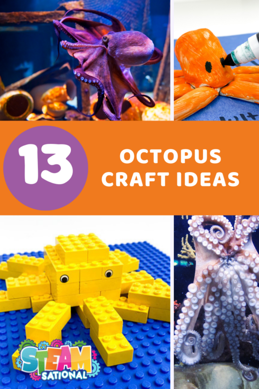 Engage your little ones with realistic octopus crafts for kids! While creating these captivating cephalopod crafts, they'll also have a blast uncovering incredible facts about octopuses. Let the crafting fun begin!