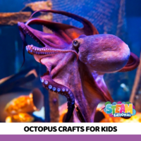 Immerse your kids in the creation of realistic octopus crafts! As they bring these fascinating cephalopods to life, they'll also unfold a world of amazing facts about octopuses.